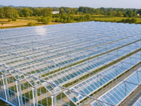 Four key points to pay attention to when building a greenhouse