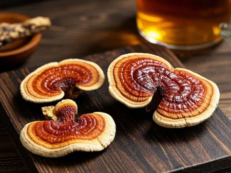 灵芝怎样泡水喝?分享灵芝的多种食用方式,从泡水到煲汤!