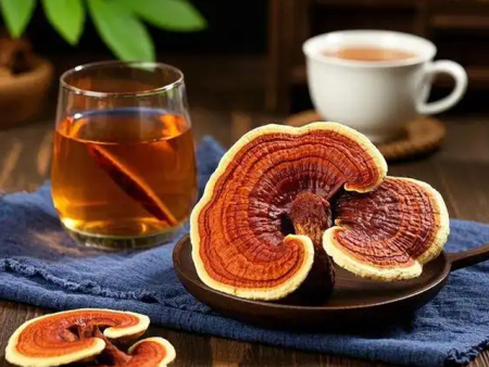 灵芝茶的九大养生功效与食用方法