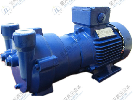 2BV 系列水环式真空泵