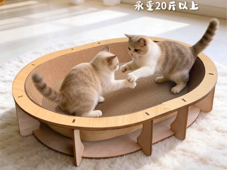 卧金蜷梦-棕椭圆