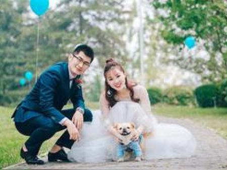 20年婚姻是什么婚？