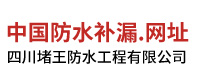 四川堵王防水工程有限公司