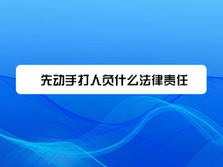 先动手打人负什么法律责任？