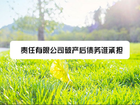 责任有限公司破产后债务谁承担？