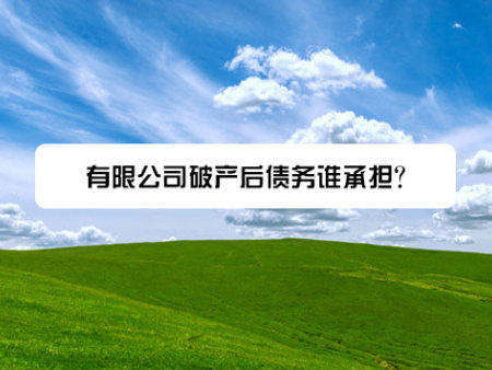 有限公司破产后债务谁承担？