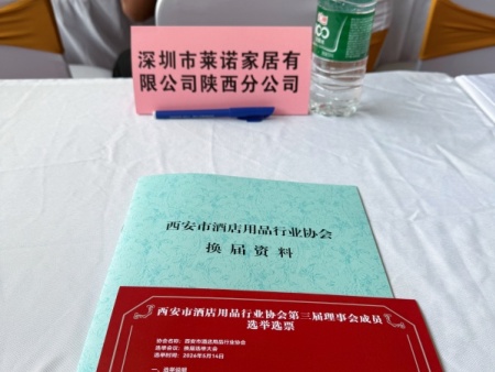 莱诺壁炉 (20)