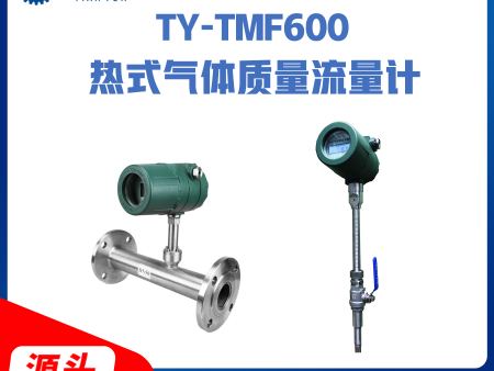 TY-TMF600热式气体质量流量计
