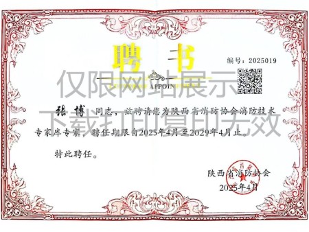 专家证