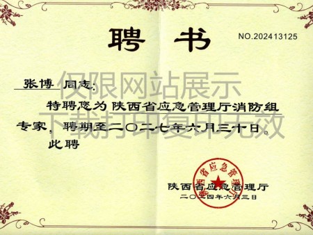 应急厅消防组专家证