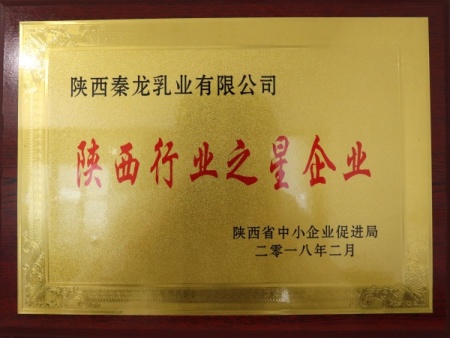 陕西行业之星企业