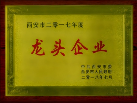 龙头企业
