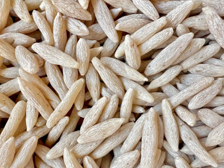 麦冬