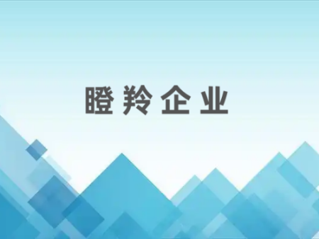  瞪羚企业