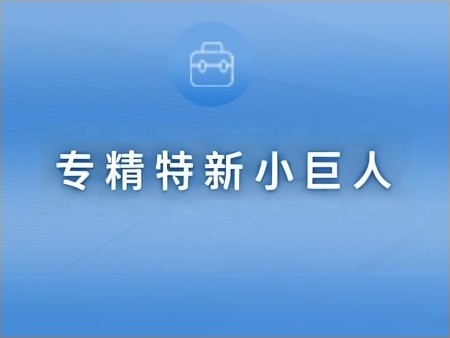 专精特新小巨人