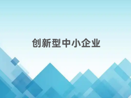  创新型中小企业