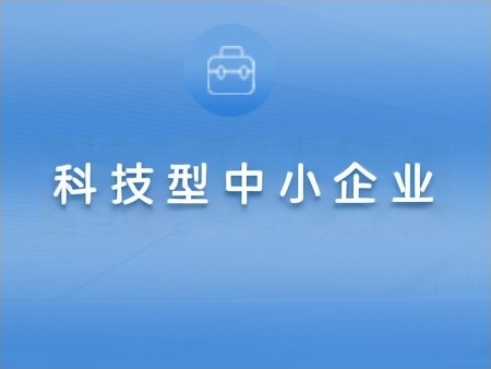 科技型中小企业