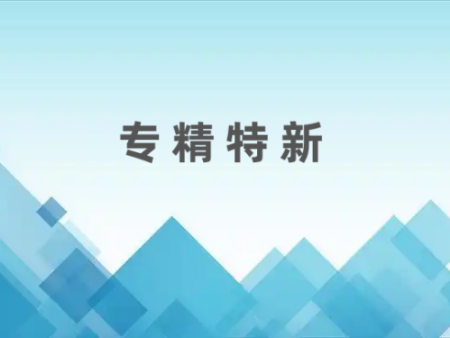 专精特新