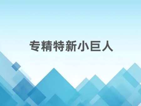 专精特新小巨人