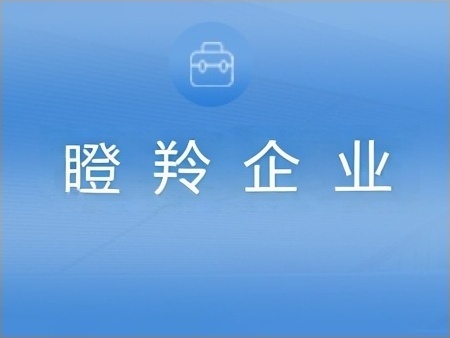 瞪羚企业