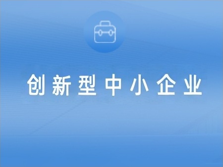 创新型中小企业