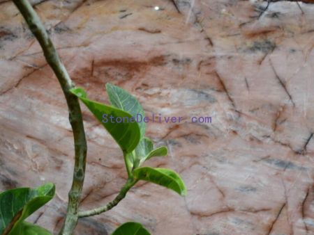Cosmopolitan Quartzite