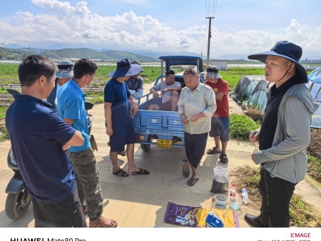 【益生源微课堂】高温、高湿会对农作物带来哪些不良影响？