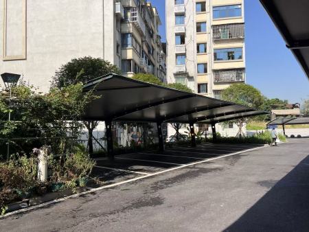 重庆龙兴人民政府膜结构停车棚