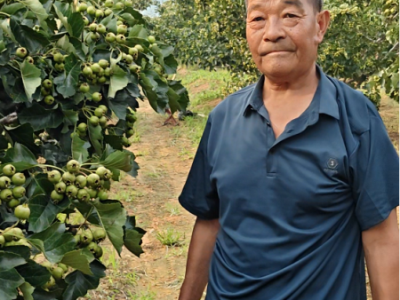 【益生源微课堂】夏剪常用的方法有哪些？