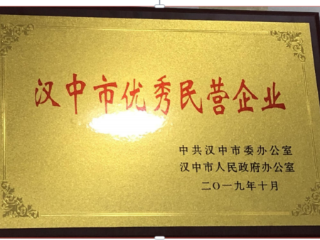 汉中市优秀民营企业