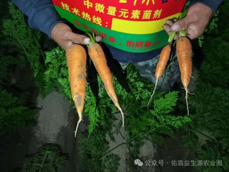 【益生源微课堂】蔬菜移栽后，怎么减少植物的缓苗期