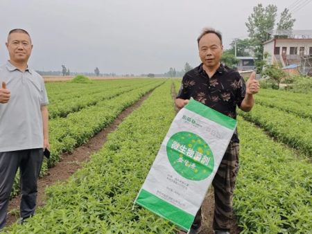 【益生源微课堂】花生、大豆中后期管理:控旺、防病、补充营养