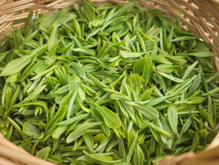 绿茶