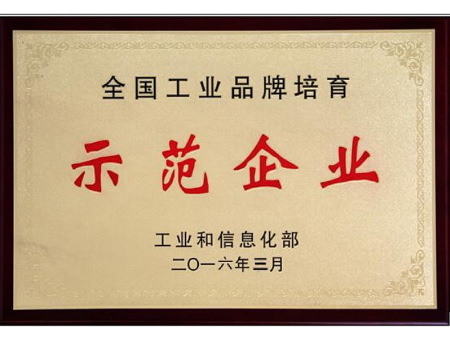 全国工业品牌培育示范企业证书