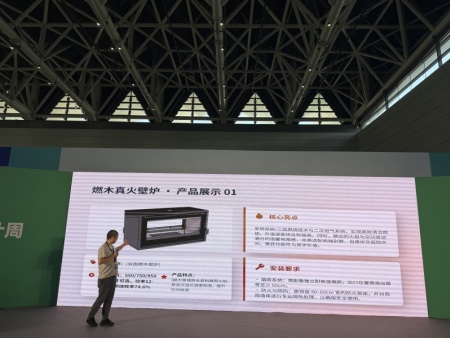 莱诺壁炉 (59)