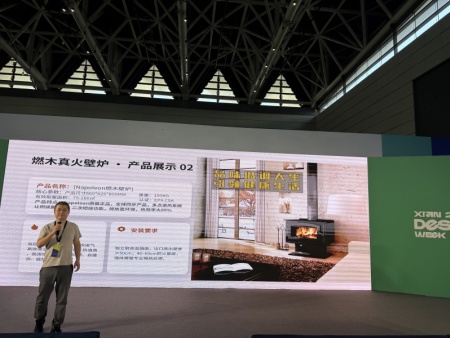 莱诺壁炉 (55)