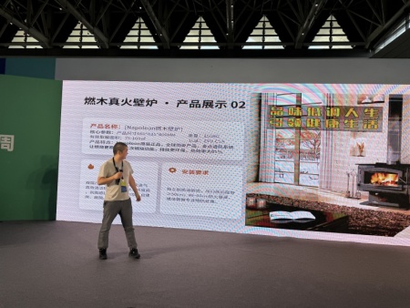 莱诺壁炉 (58)