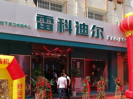 雷科迪尔 (16)