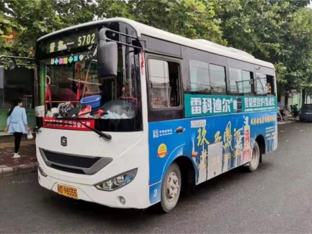 雷科迪尔 (31)