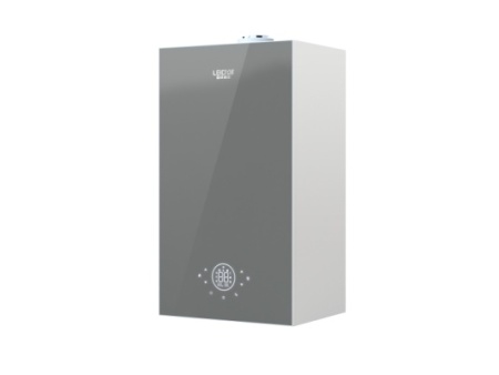 壁挂炉LL1GBQ-C