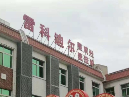 雷科迪尔 (36)