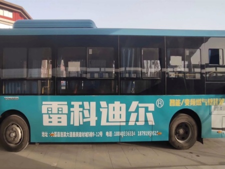雷科迪尔 (29)