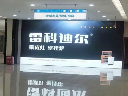 雷科迪尔 (22)
