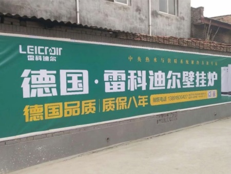 雷科迪尔 (21)