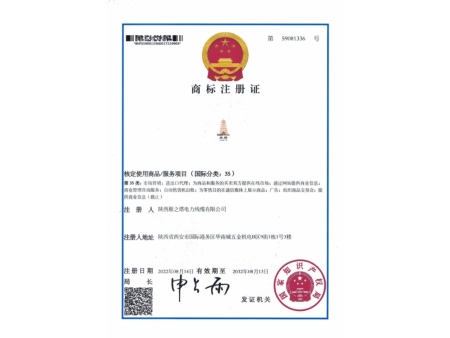 商标注册证  第59081336号