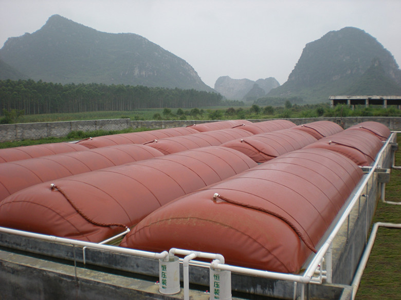 养猪场沼气工程