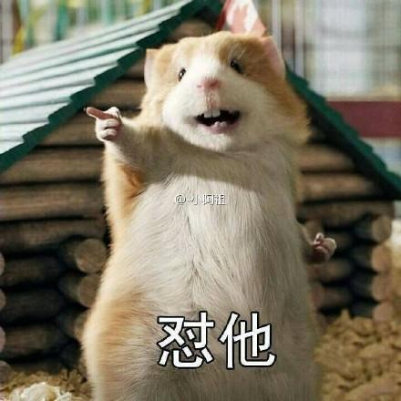 老鼠在车里存一年花生被发现网友的评论亮了