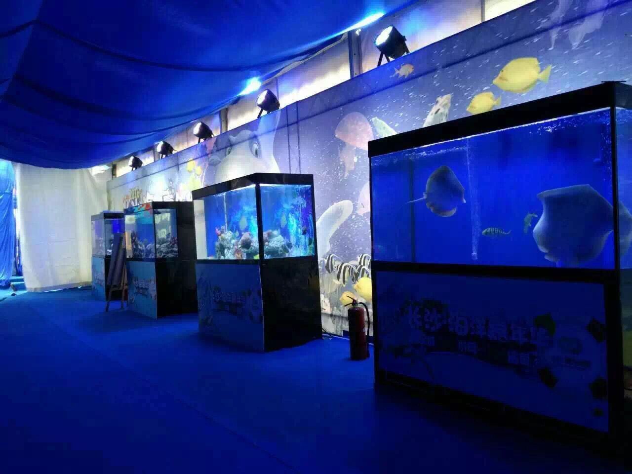 海洋生物生态展览海洋生物观赏展示海洋展出租