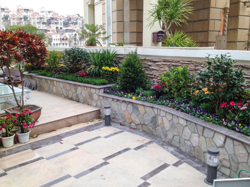 青杂黄木纹网贴