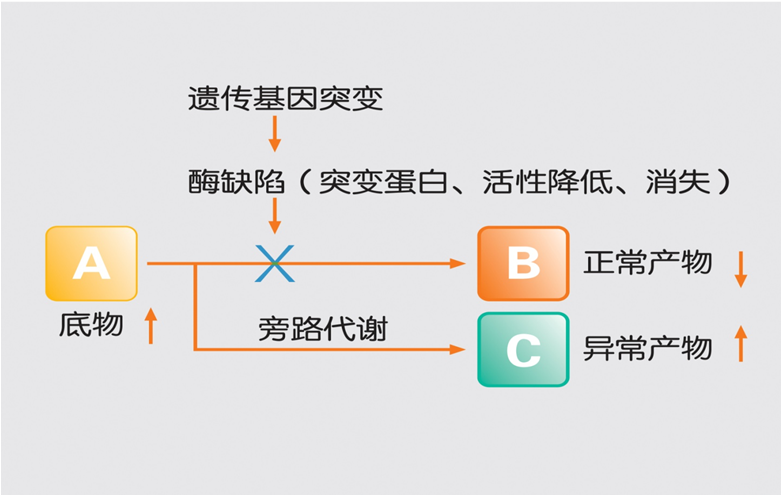 遗传代谢病检测